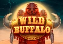 Mr-Bet-Wild-Buffalo